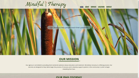 Mindful Therapy Agency